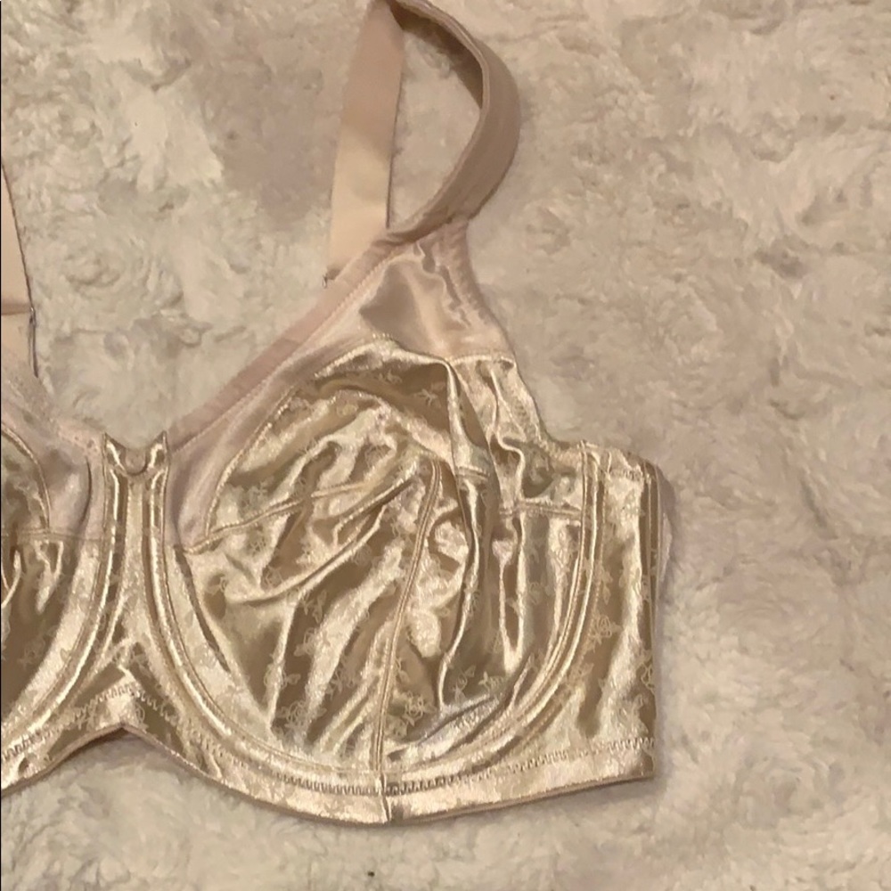 Lilyette Maximum Support Underwire Bra - image 3